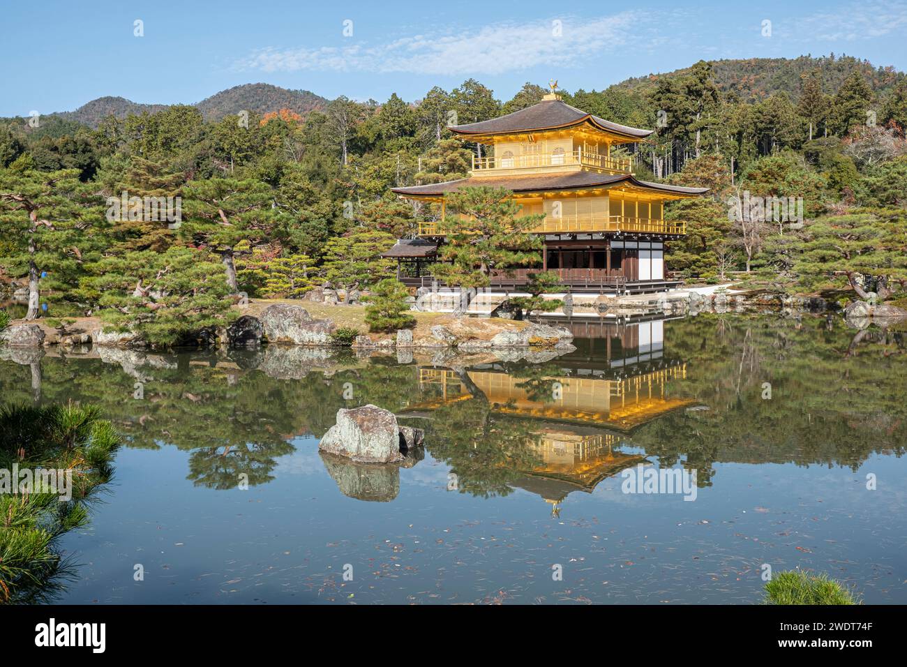 Tempio del padiglione dorato Kinkaku-ji riflesso in uno stagno in autunno, sito patrimonio dell'umanità dell'UNESCO, Kyoto, Honshu, Giappone, Asia Foto Stock
