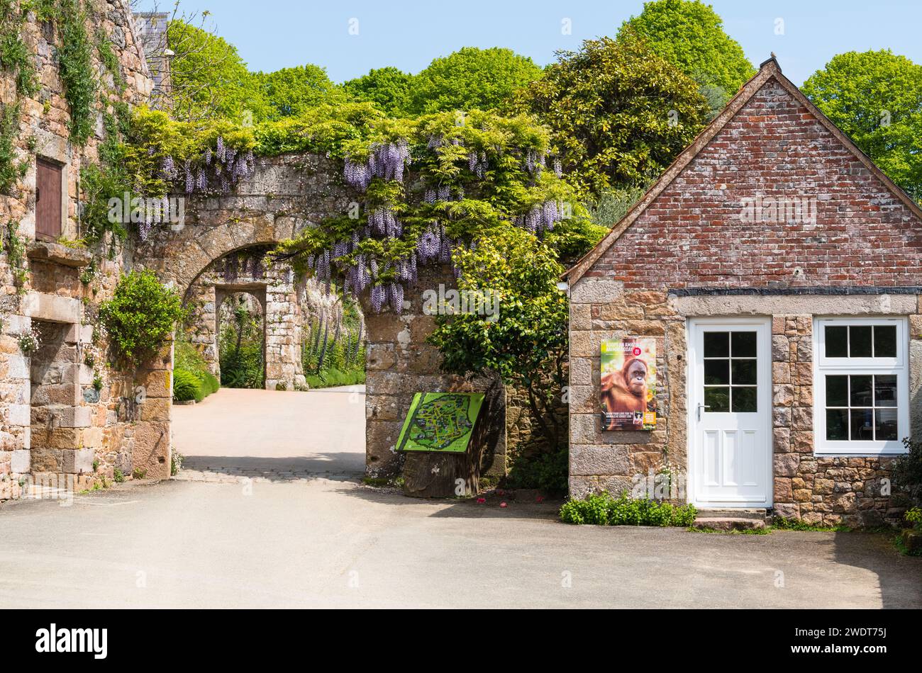 Jersey Zoo (Durrell Wildlife Conservation Trust), fondato dall'autore e conservatore Gerald Durrell nel 1959, Jersey, Channel Islands, Europe Foto Stock