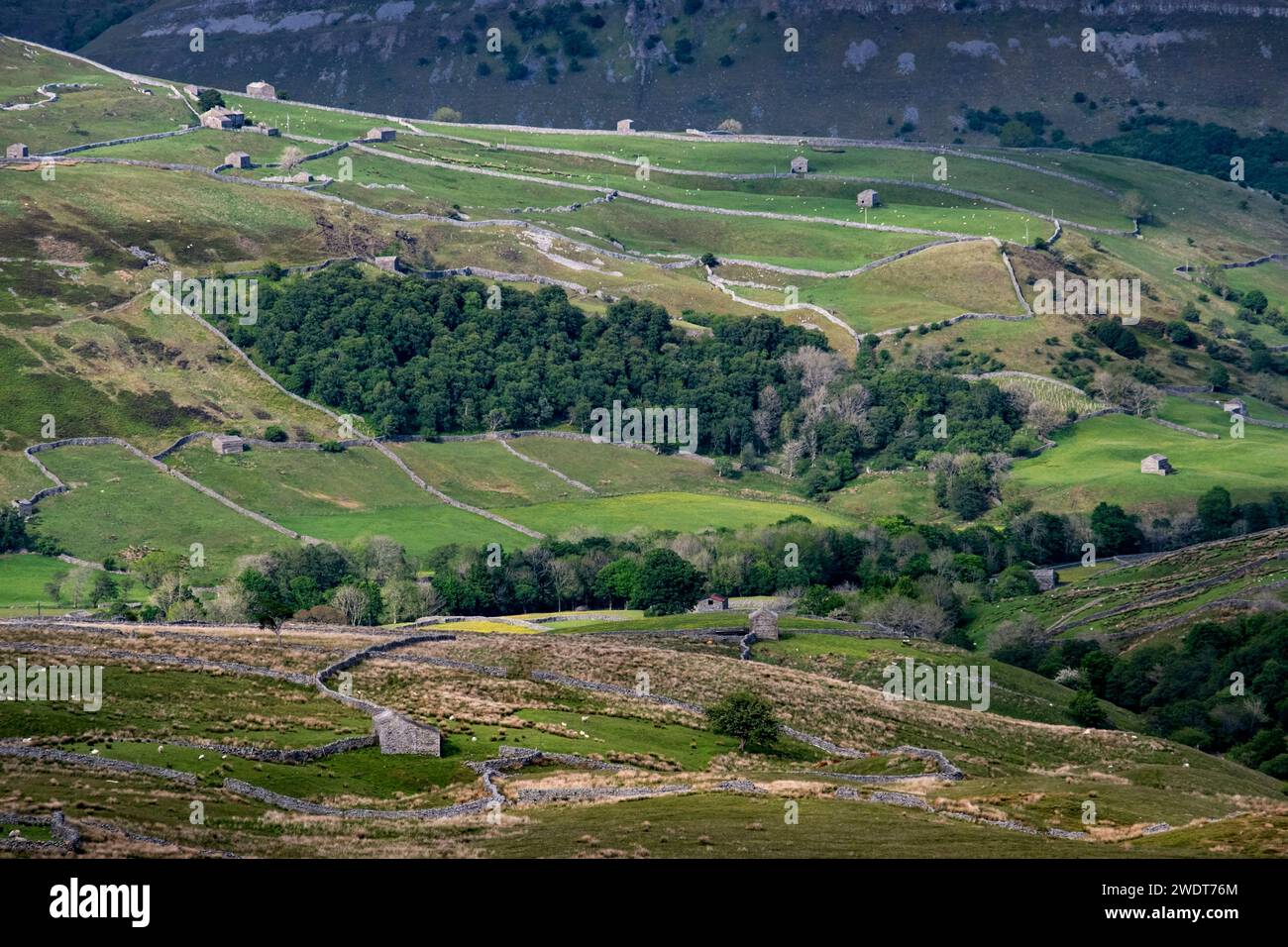 Swaledale vista dal Buttertubs Pass, Yorkshire Dales National Park, Yorkshire, Inghilterra, Regno Unito, Europa Foto Stock