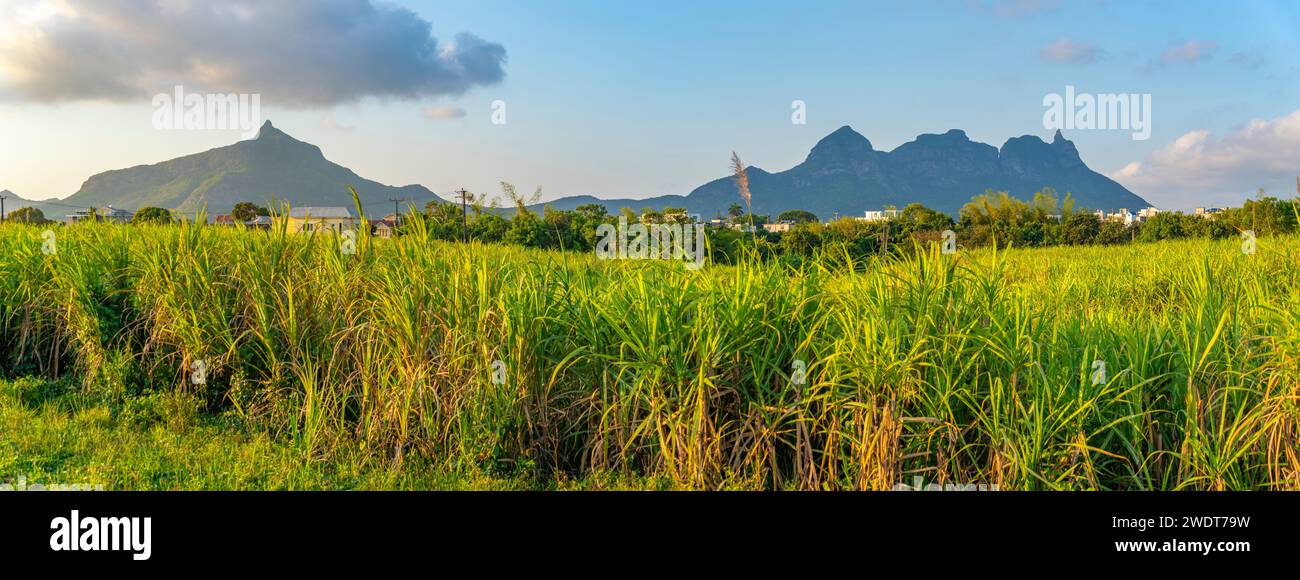 Vista dei terreni agricoli e delle montagne vicino a Quatre Bornes, Mauritius, Oceano Indiano, Africa Foto Stock