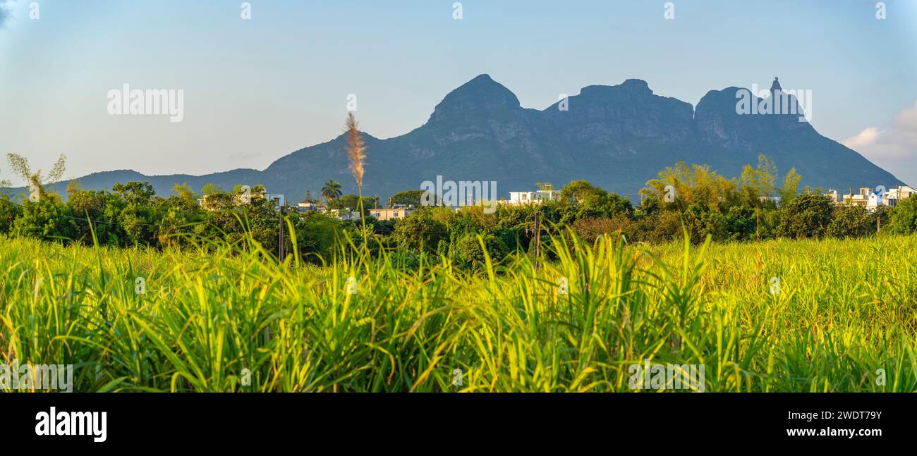 Vista dei terreni agricoli e delle montagne vicino a Quatre Bornes, Mauritius, Oceano Indiano, Africa Foto Stock