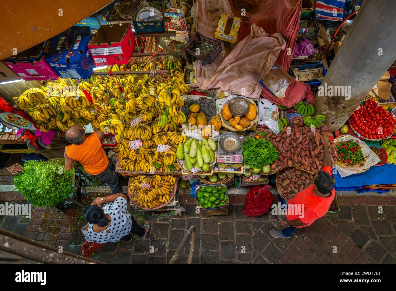 Vista dei prodotti, tra cui verdure e banane, sulle bancarelle del mercato centrale di Port Louis, Port Louis, Mauritius, Oceano Indiano e Africa Foto Stock