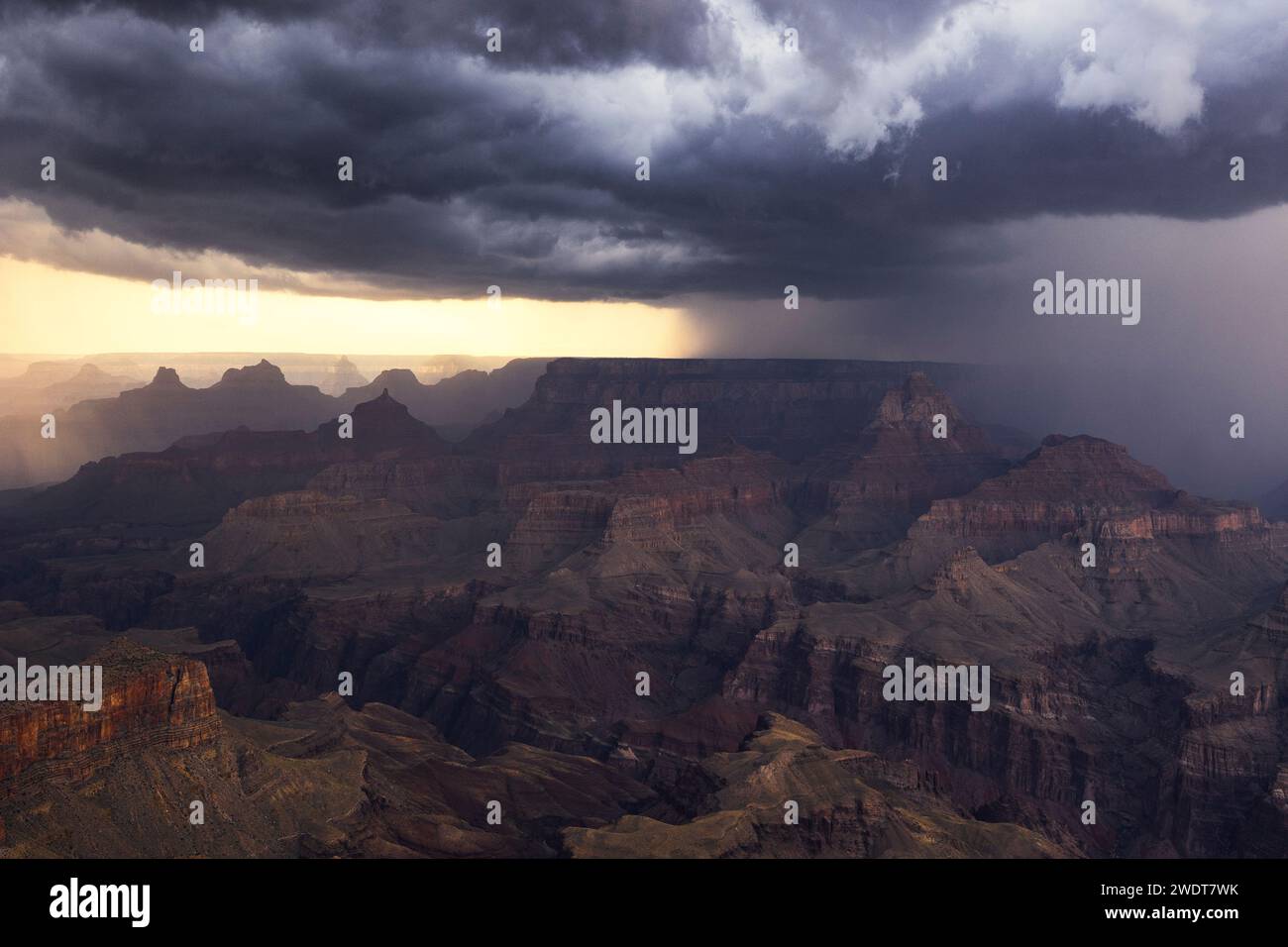 Una tempesta attraversa il Grand Canyon durante un giorno d'estate, Tusayan, Arizona, Stati Uniti d'America, Nord America Foto Stock
