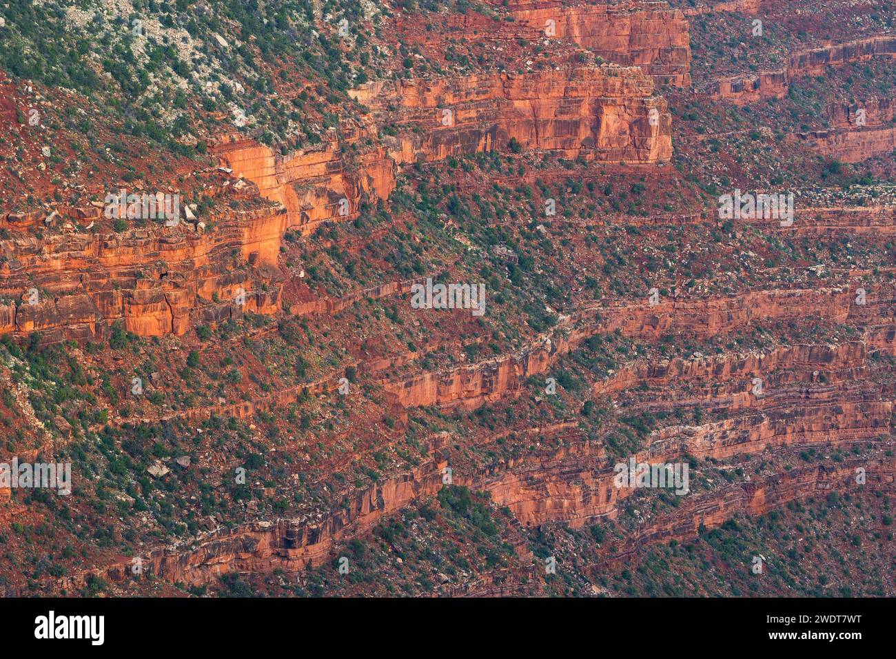 Dettaglio delle pareti rocciose del Grand Canyon, in un giorno d'estate, sito patrimonio dell'umanità dell'UNESCO, Arizona, Stati Uniti d'America, Nord America Foto Stock