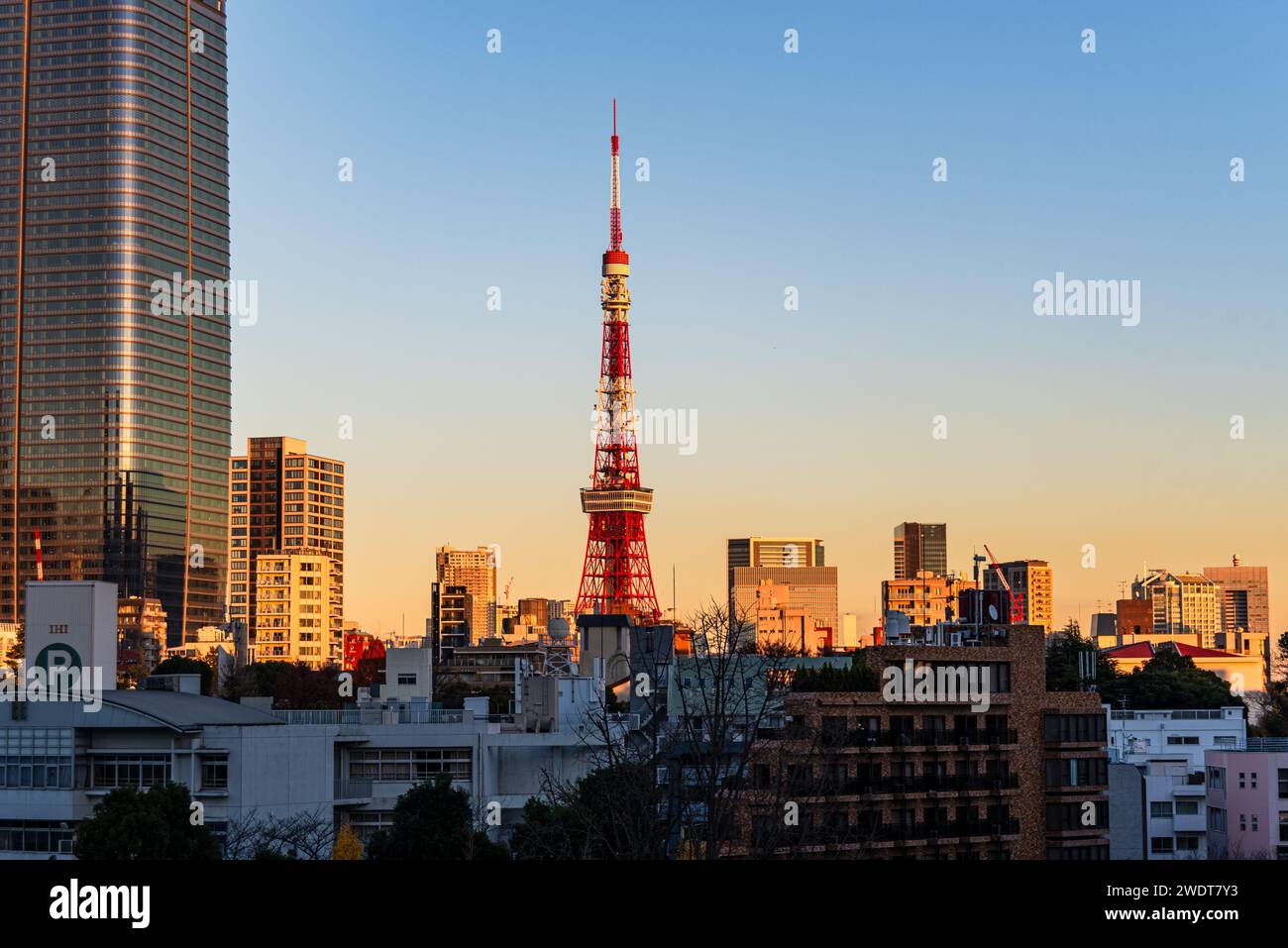 Splendido tramonto sullo skyline di Tokyo con la Toyko Tower, Tokyo, Honshu, Giappone, Asia Foto Stock
