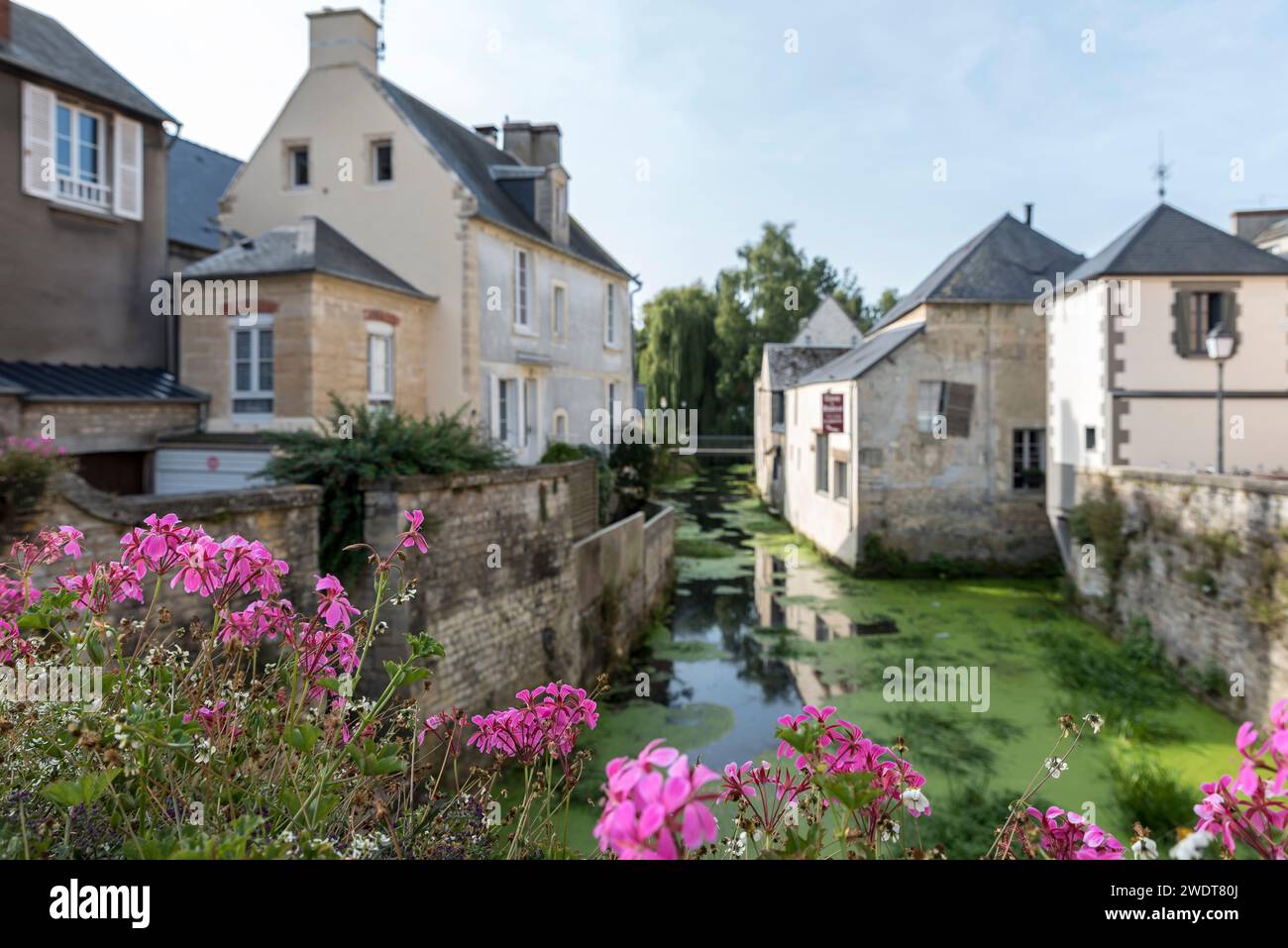 Il fiume Aure incorniciato da vivaci fiori rosa in un giorno d'estate, Bayeux, Normandia, Francia, Europa Foto Stock
