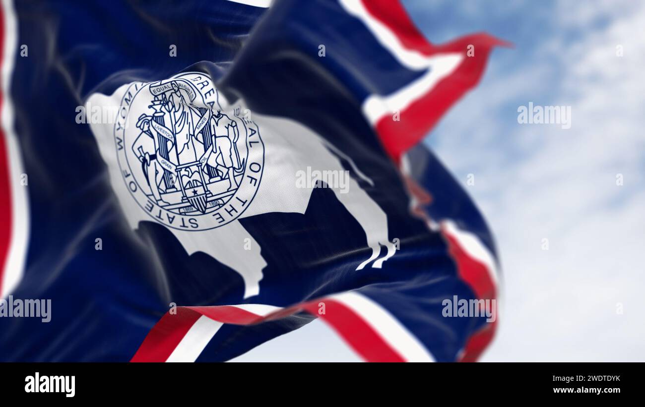 Primo piano della bandiera dello stato del Wyoming che sventola nel vento. Silhouette White Bison. rendering dell'illustrazione 3d. Messa a fuoco selettiva. Bandiera di stato DEGLI STATI UNITI Foto Stock
