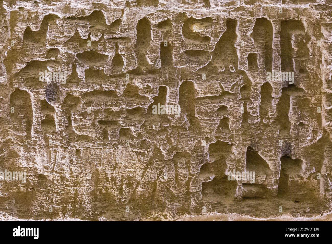 Egitto, Saqqara, Serapeum necropolis : testi di dedica e nicchie per stele. Foto Stock