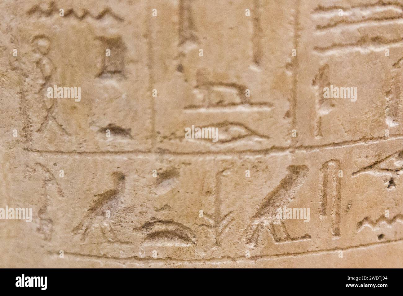 Egitto, Saqqara, Serapeum, dettaglio di un vaso toro canopico Apis : nome del principe Khaemouaset. Foto Stock