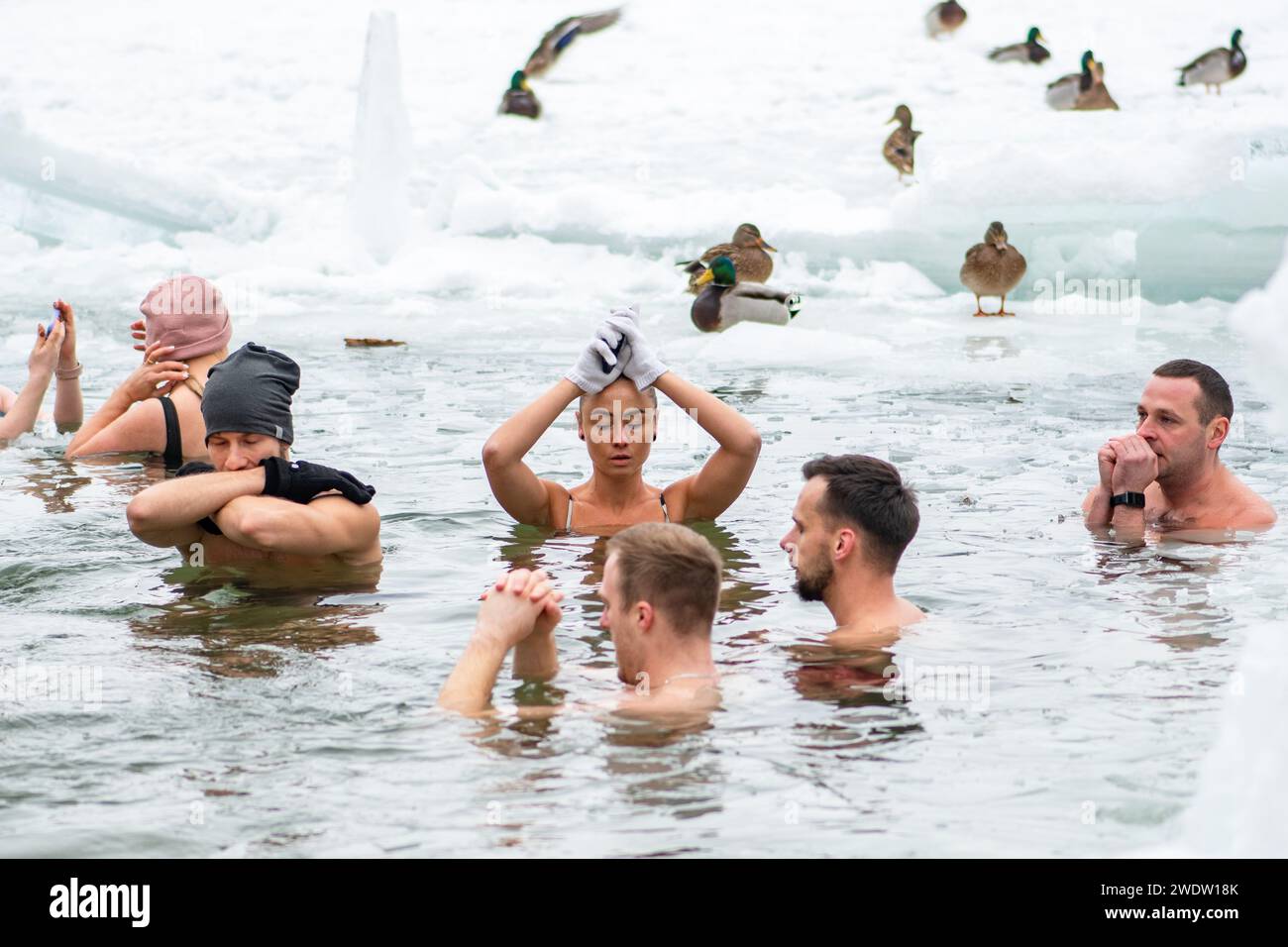 Gruppo di persone ghiacciate che nuotano insieme nell'acqua fredda gelida di un lago ghiacciato. Metodo Wim Hof, terapia fredda, tecniche respiratorie, yoga Foto Stock