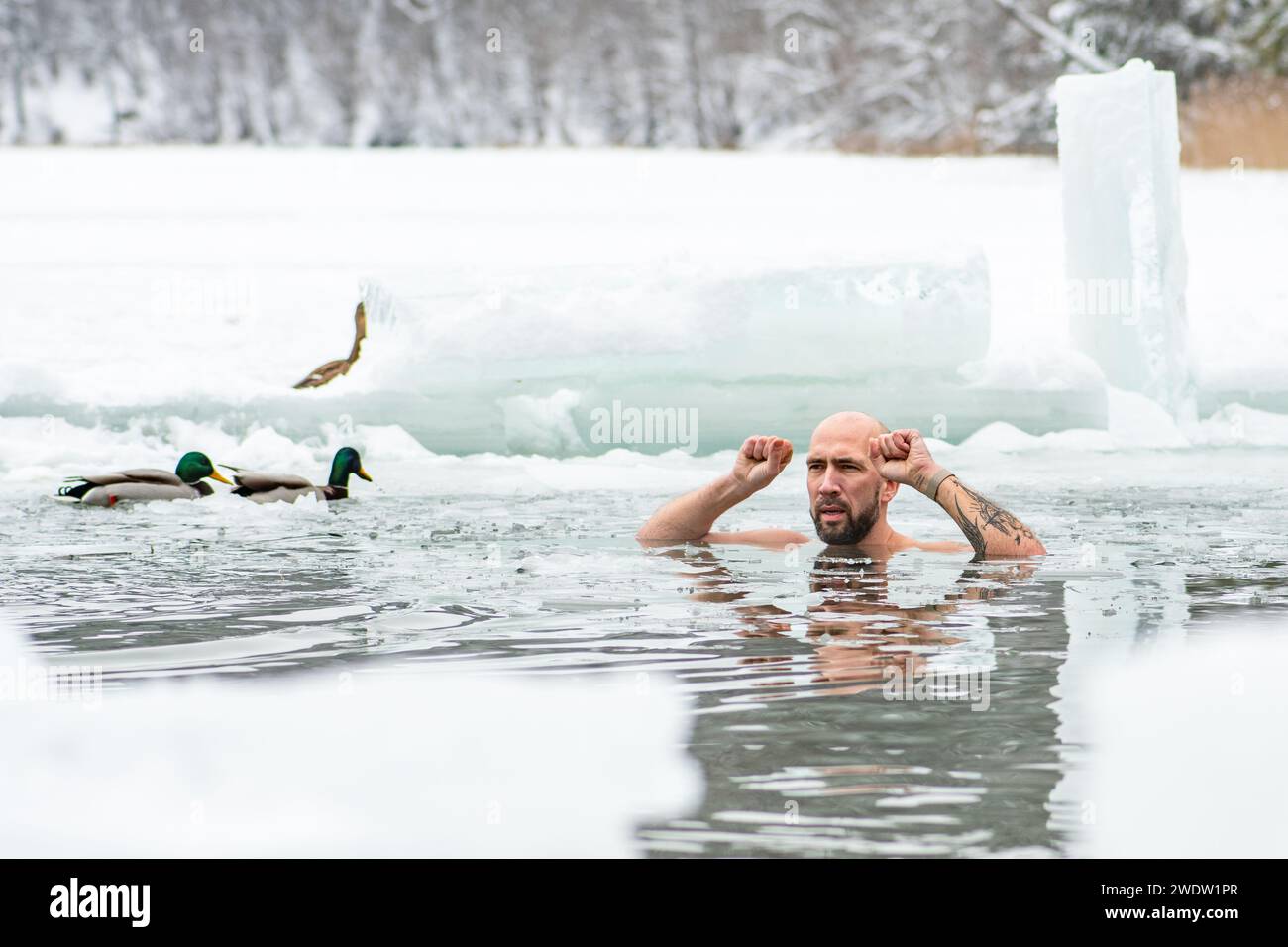 Bel ragazzo o uomo che fa il bagno di ghiaccio nell'acqua gelida di un lago ghiacciato tra le anatre. Metodo Wim Hof, terapia fredda, tecniche di respirazione Foto Stock