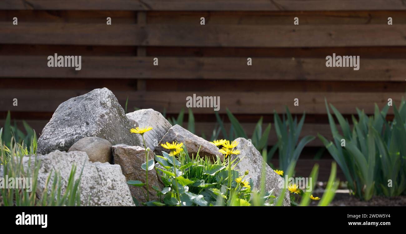 fiori sullo sfondo di una recinzione di legno. Foto di alta qualità Foto Stock