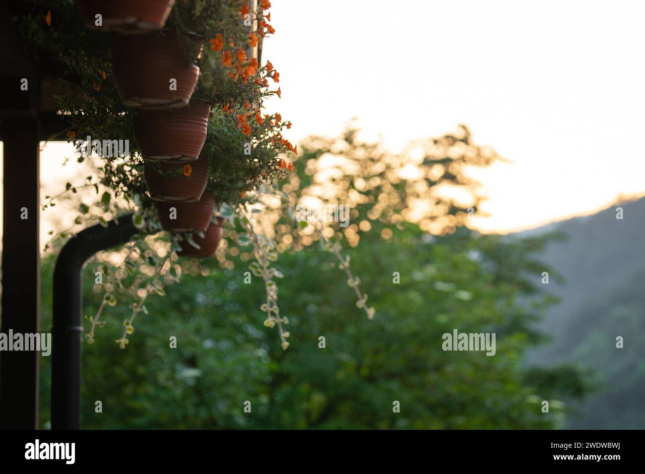Portico di una casa di legno nella foresta sulla riva del fiume. Foto Stock