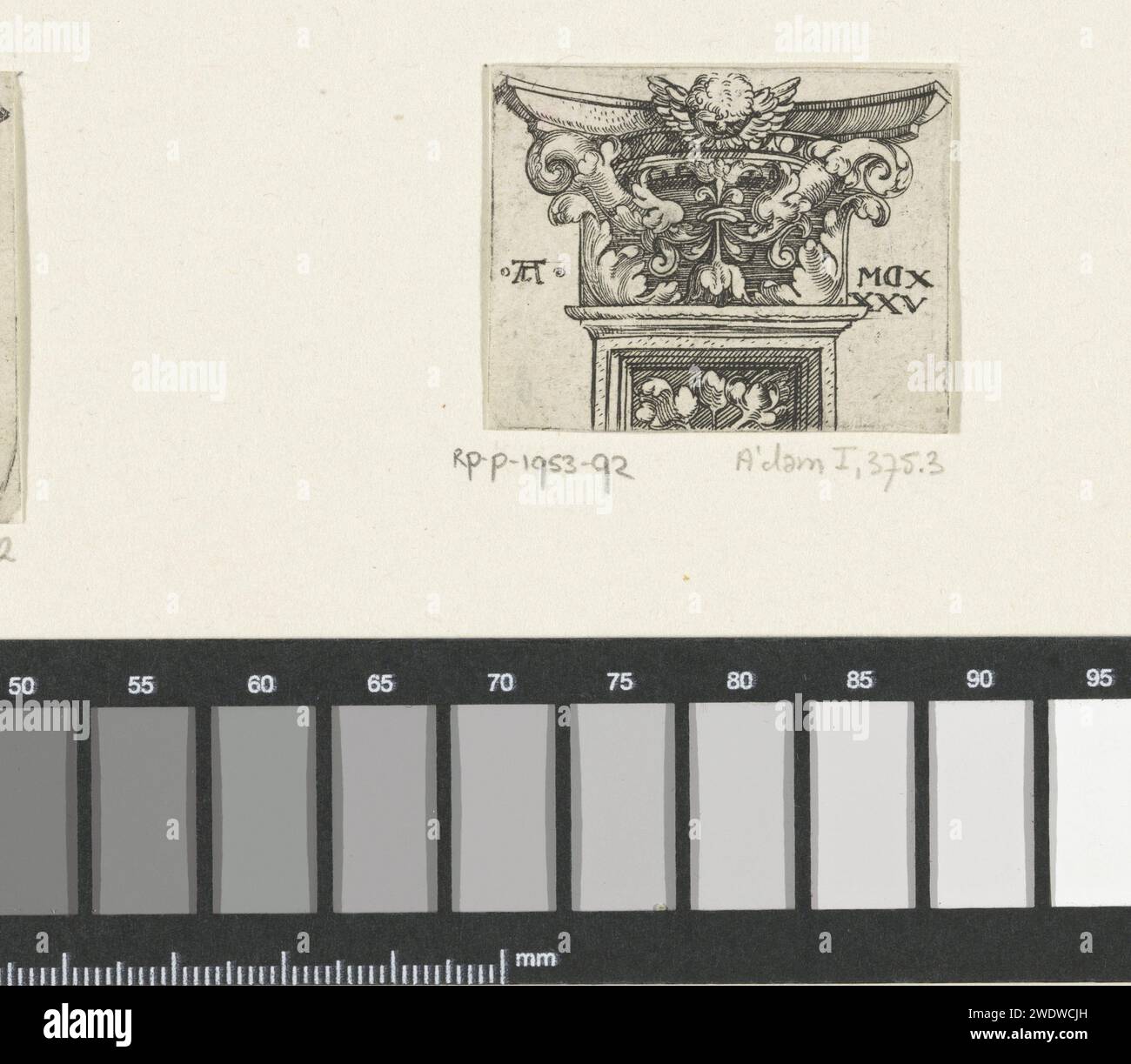 Kapiteeel, decorato con foglie di vite e un cherubino, monogrammista al (XVI secolo), 1535 uno di 3 fogli. Germania (forse) carrucole per incisione, cioè teste per bambini con ali Foto Stock