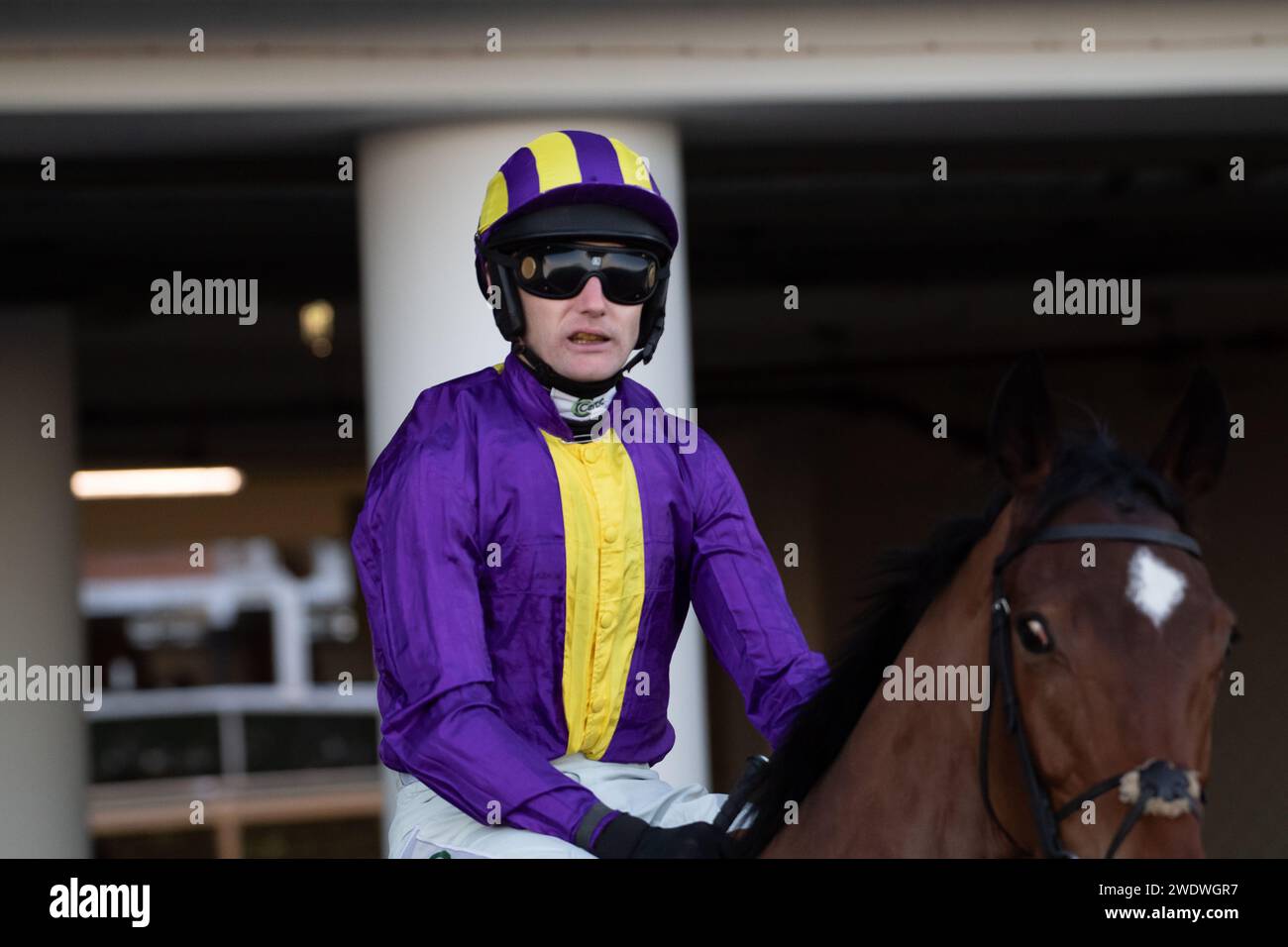 Ascot, Regno Unito. 24 novembre 2023. Horse Madaket, guidato dal fantino Sean Houlihan, si dirige verso l'autodromo per l'ostacolo Not Forgotten Noviices' handicap all'ippodromo di Ascot durante il November Racing Friday Meeting. Credito: Maureen McLean/Alamy Foto Stock