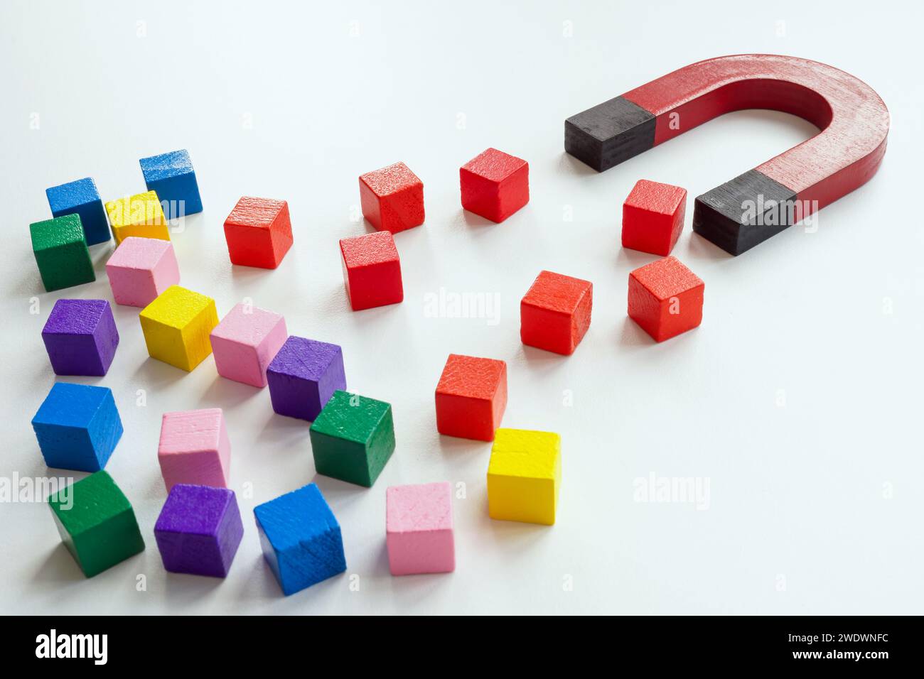 Concetto di acquisizione di dipendenti di talento o clienti. Il magnete attrae i cubi rossi. Foto Stock