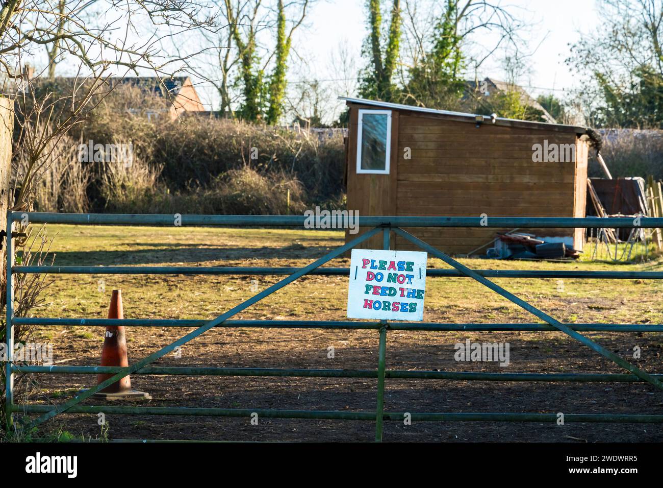 Non dare da mangiare all'insegna dei cavalli sul cancello di Pasture, Cherry Willingham, Lincolnshire, Inghilterra, Regno Unito Foto Stock