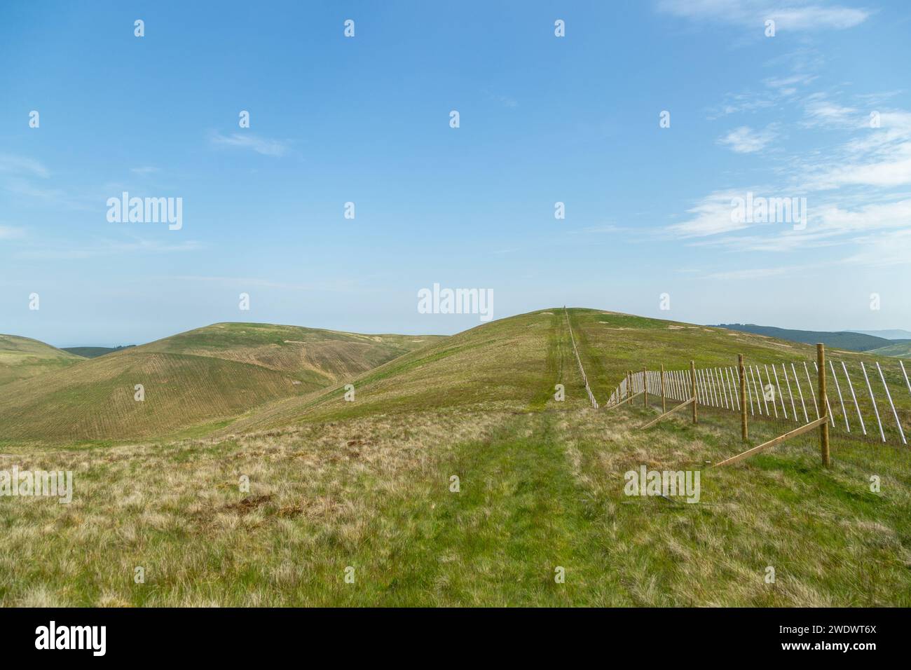 Colline ondulate di Corb Glen, Perth e Kinross, Scozia Foto Stock