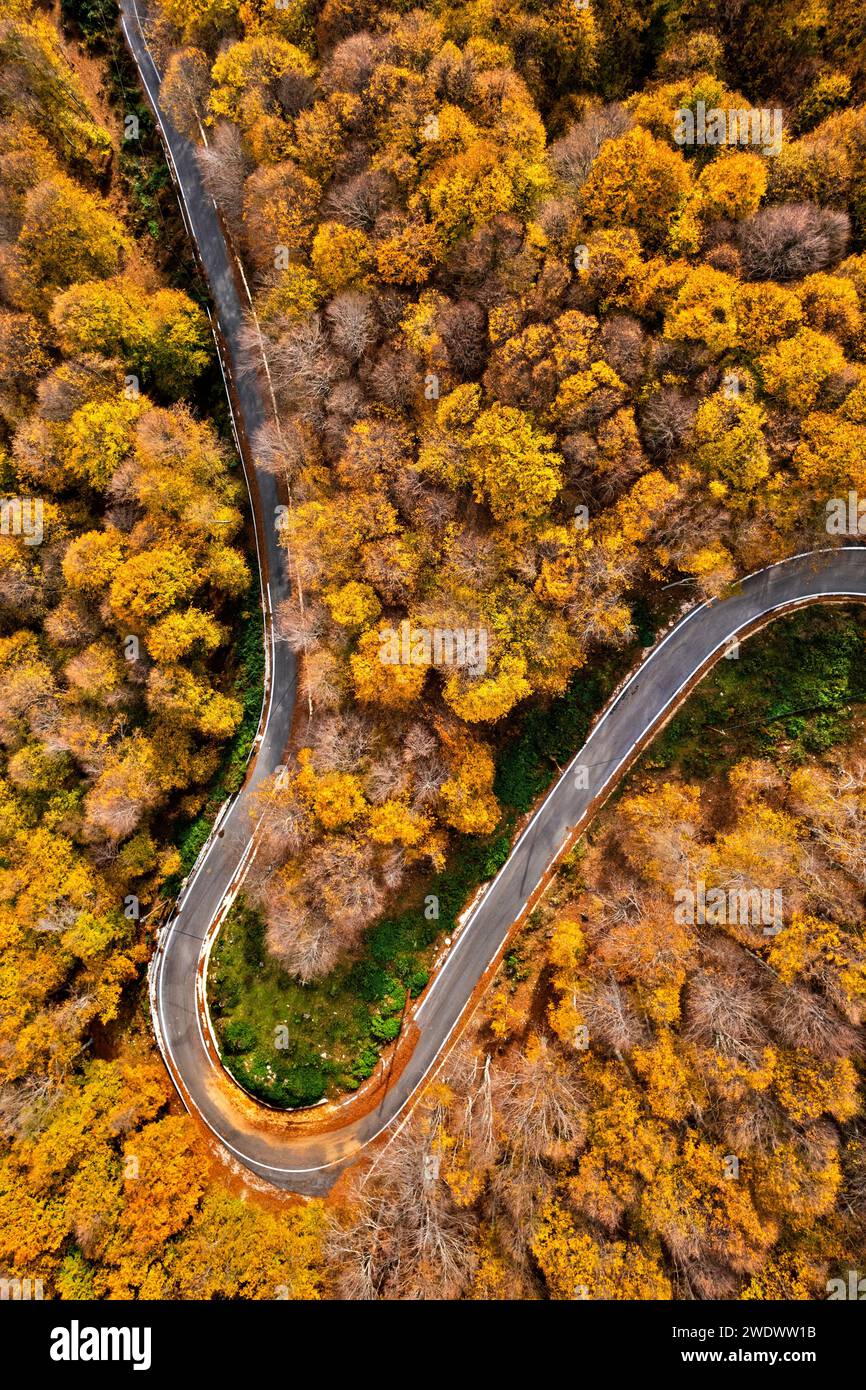 Foresta di Mamali, montagne di Antichasia, villaggio di Verdikoussia, comune di Elassona, Larissa, Tessaglia, Grecia. Foto Stock