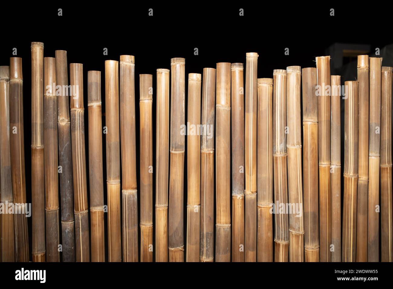 stecca di bambù di fondo erboso. Foto di alta qualità Foto Stock