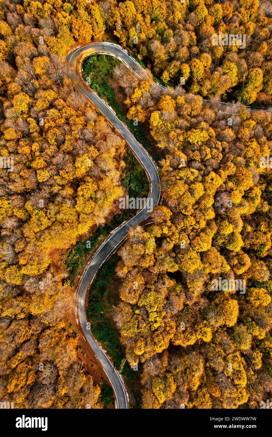 Foresta di Mamali, montagne di Antichasia, villaggio di Verdikoussia, comune di Elassona, Larissa, Tessaglia, Grecia. Foto Stock