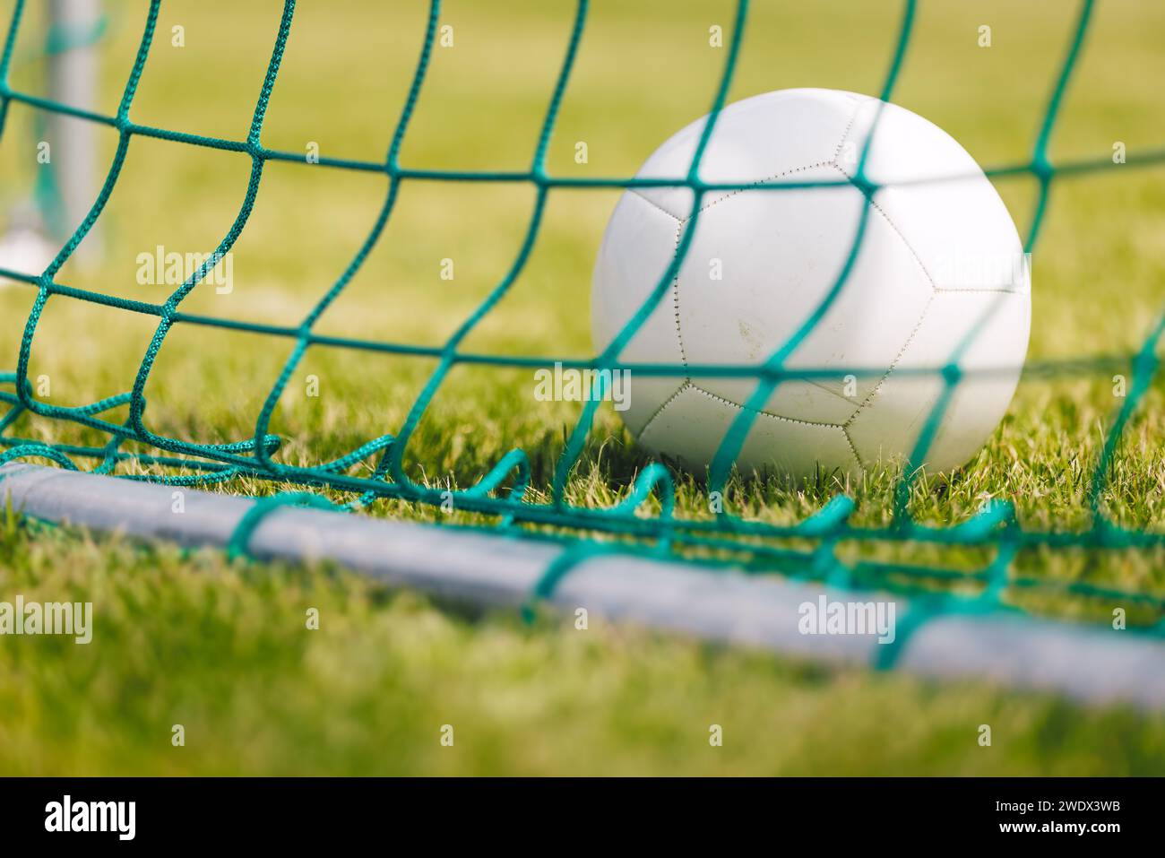 Pallina da calcio classica su un terreno in erba verde sul retro della rete porta Foto Stock