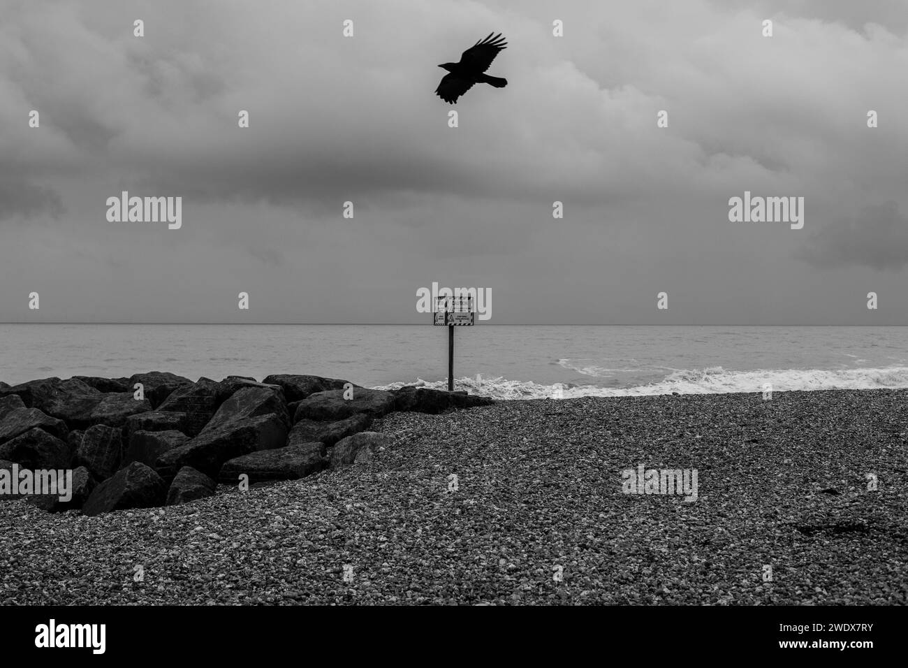 Crow Flying, Moody Grey Sky on the South Coast England, 1 gennaio 20124 Foto Stock