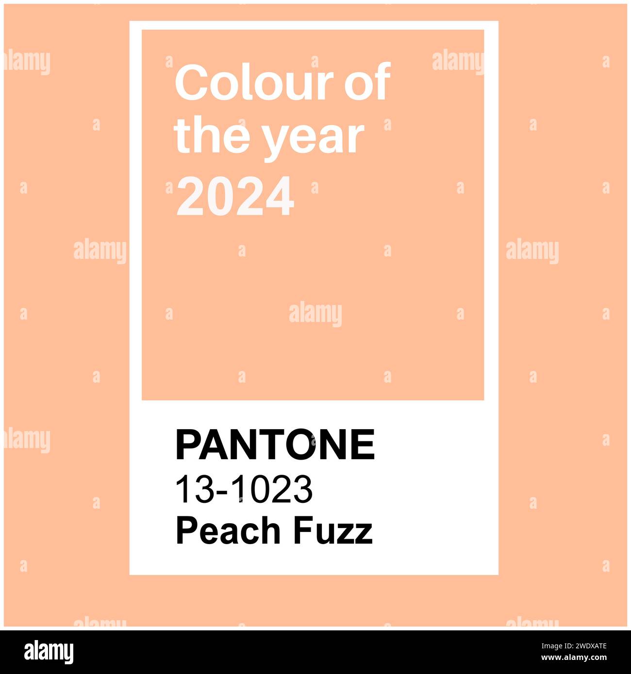 Pantone Peach Fuzz colore di tendenza dell'anno 2024 Illustrazione Vettoriale