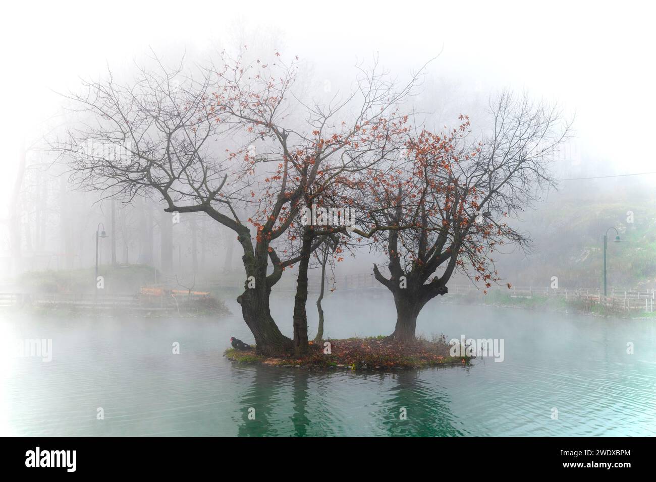 Foto scattata a Vryssi Tyrnavou, un piccolo lago pittoresco e una bella area ricreativa vicino alla città di Tyrnavos, Larissa, Tessaglia, Grecia. Foto Stock