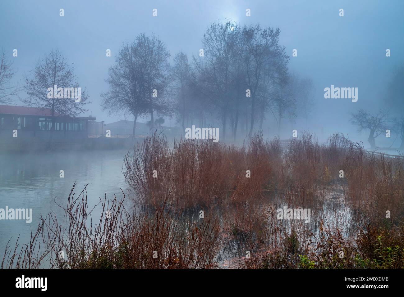 Foto scattata a Vryssi Tyrnavou, un piccolo lago pittoresco e una bella area ricreativa vicino alla città di Tyrnavos, Larissa, Tessaglia, Grecia. Foto Stock