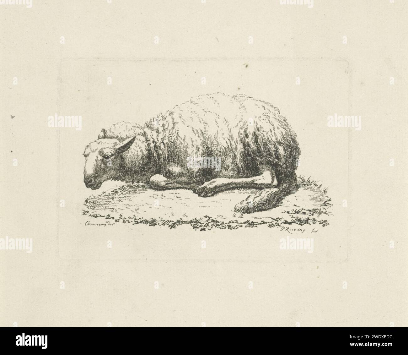 Lying Schaap, Pieter Roosing, dopo Balthasar Paul Ommeganck, 1811 - 1839 stampa Rotterdam paper etching Sheep Foto Stock