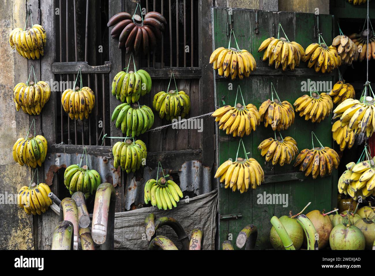 09.01.2014, Rangoon/Yangon, Myanmar, Asien - Frische Bananen haengen an einem Geschaeft und werden zum Verkauf angeboten. *** 09 01 2014, Yangon, Myanmar, Asia banane fresche appese a un negozio e messe in vendita Foto Stock