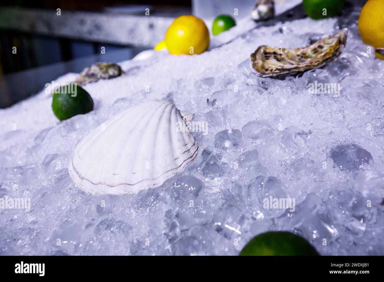 ostriche naldu al chiuso, limone e luce. Foto di alta qualità Foto Stock