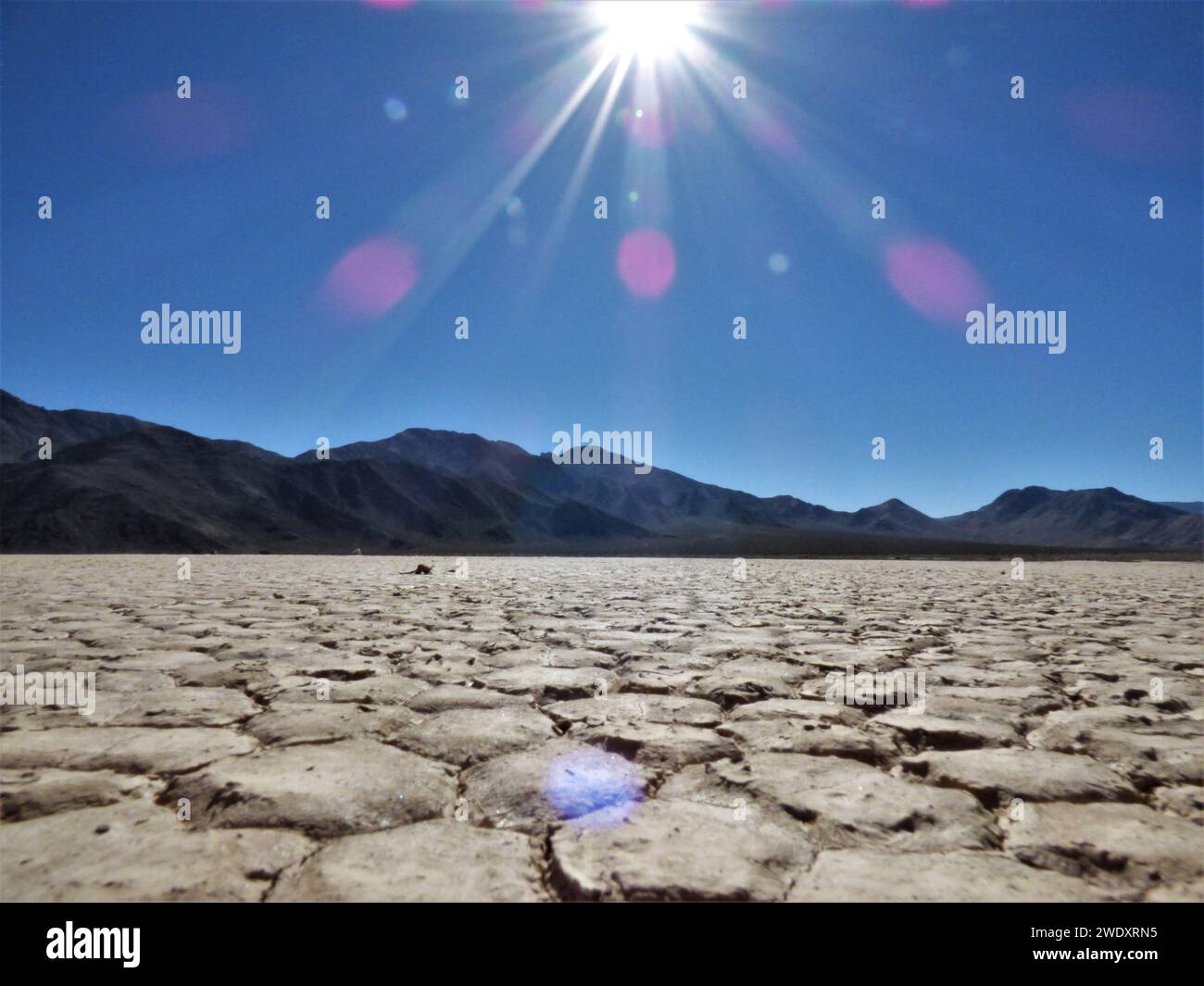 Bellezza remota dell'ippodromo Playa Foto Stock