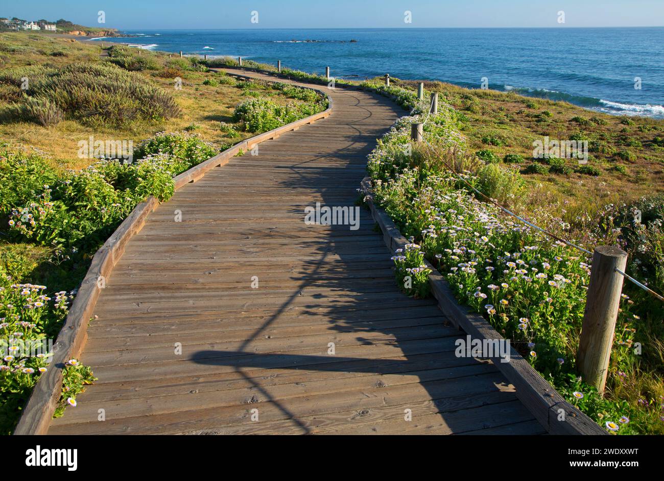La pietra di luna Boardwalk, San Simeone Hearst membro Park, California Foto Stock