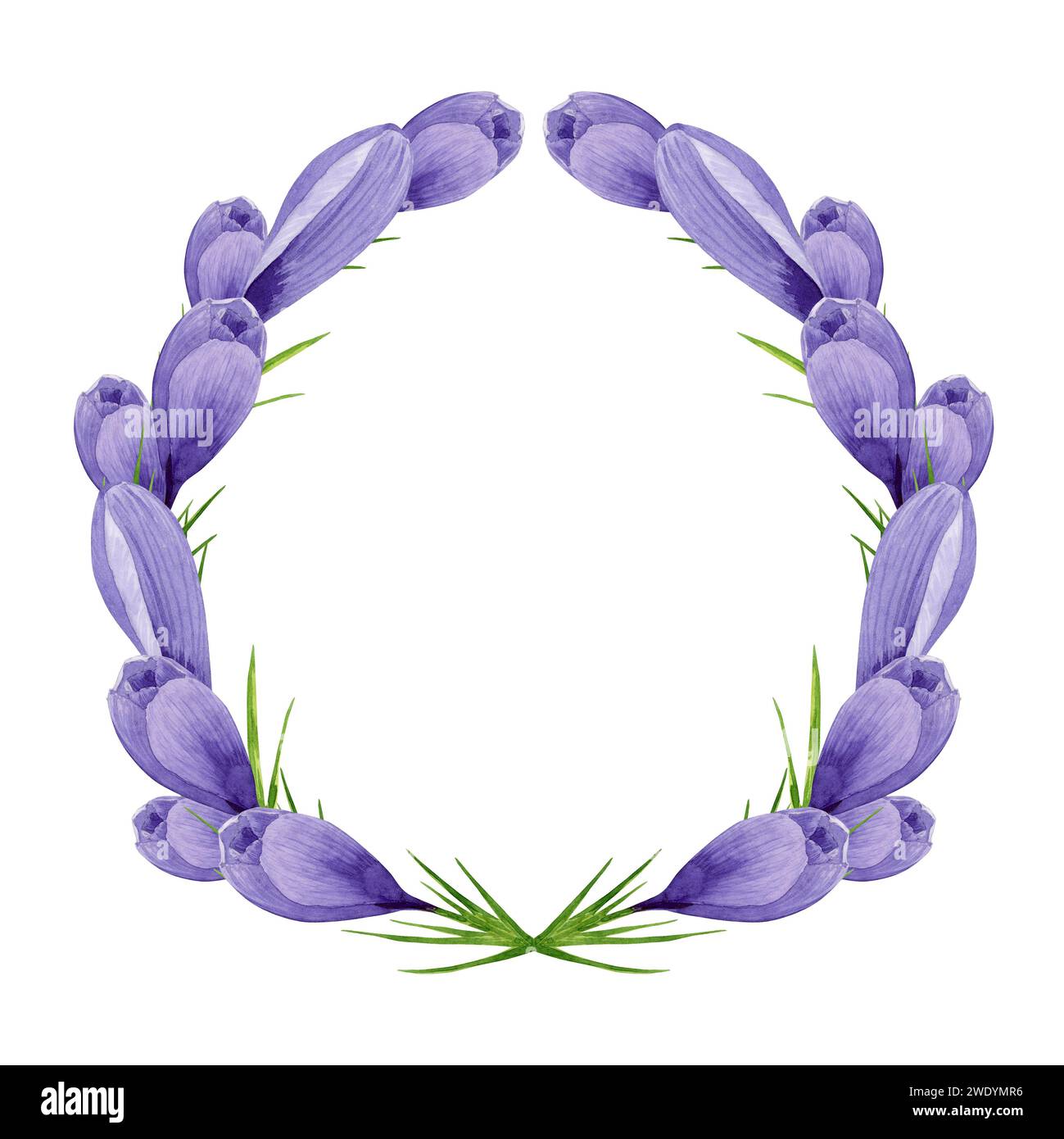 Corona di croci viola, telaio di fiori a molla. Illustrazione ad acquerello dipinta a mano isolata su sfondo bianco elemento di design per etichetta, confezione Foto Stock