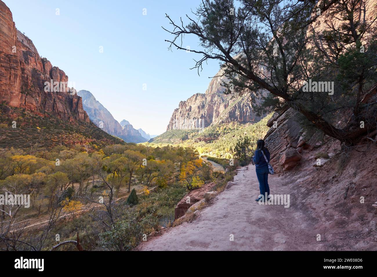 Un turista fa una pausa dalle escursioni per godersi la vista. Osserva le vicine cime delle montagne e il fiume vergine che scorre attraverso la valle belo Foto Stock