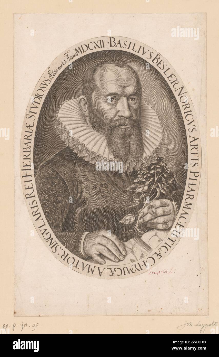 PortraT van Basilius Besler, Johann Leipolt, 1613 stampe di persone storiche. botanica Foto Stock