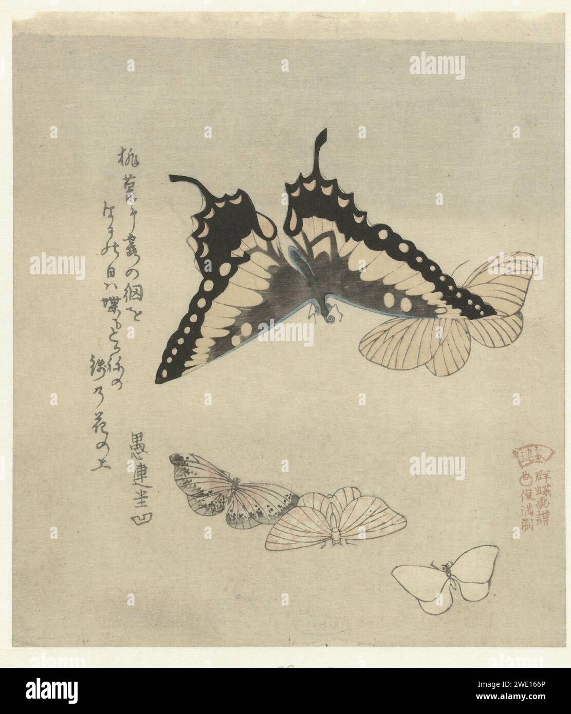 Cinque farfalle, Kubota Shunman, c. 1890 - c. 1900 ne stampano una grande e quattro più piccole. Con una poesia, questa stampa è una copia del tardo periodo Meiji (1868-1912). Insetti tagliati in legno di colore giapponese: Farfalla Foto Stock