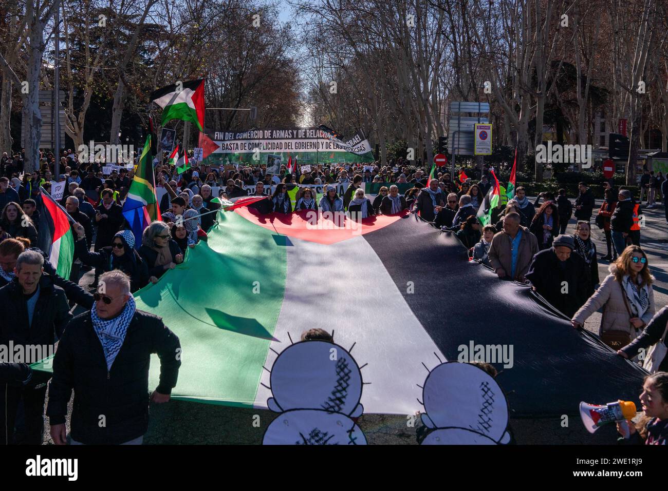 Madrid, Spagna. 20 gennaio 2024. I manifestanti detengono un’enorme bandiera palestinese durante una manifestazione. Migliaia di manifestanti chiedono un cessate il fuoco in Palestina durante una manifestazione pro-palestinese a Madrid. Credito: SOPA Images Limited/Alamy Live News Foto Stock