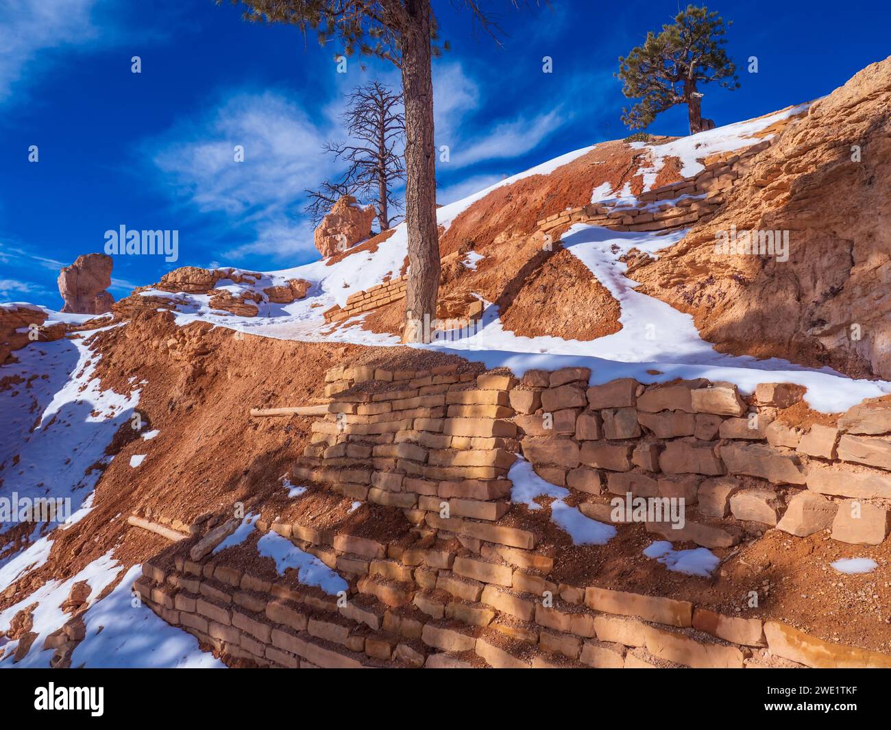 Queen's Garden Trail, Bryce Amphitheater, inverno, Bryce Canyon National Park, Utah. Foto Stock