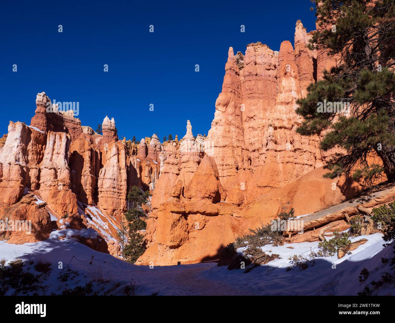 Bryce Amphitheater dal Queen's Garden Trail, inverno, Bryce Canyon National Park, Utah. Foto Stock