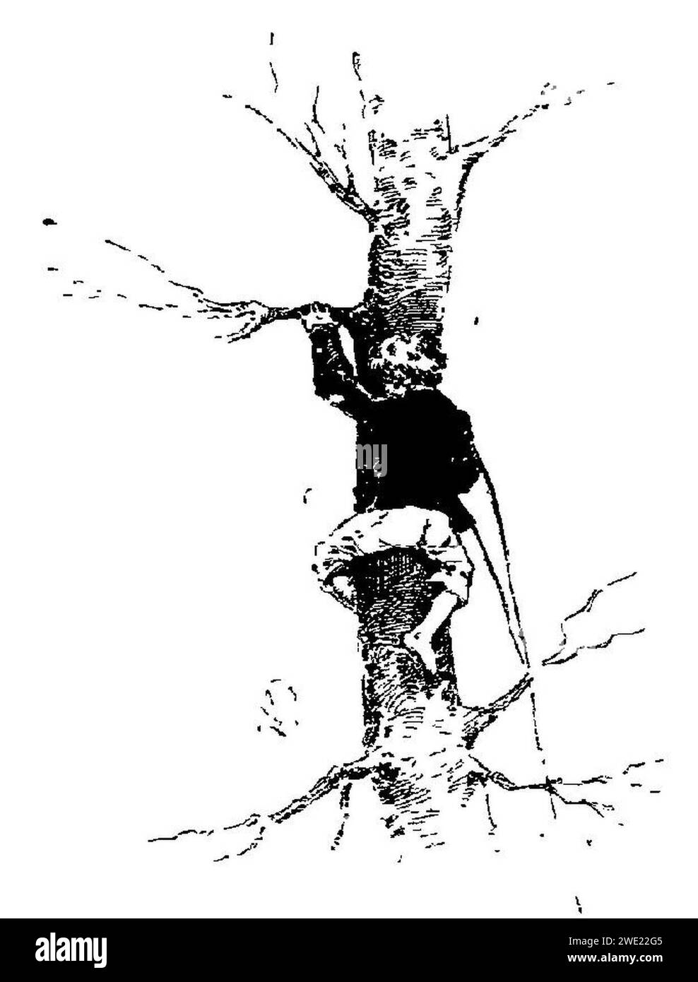 Alphonse Daudet - la Belle Nivernaise - Chapitre III - immagine 13. Foto Stock