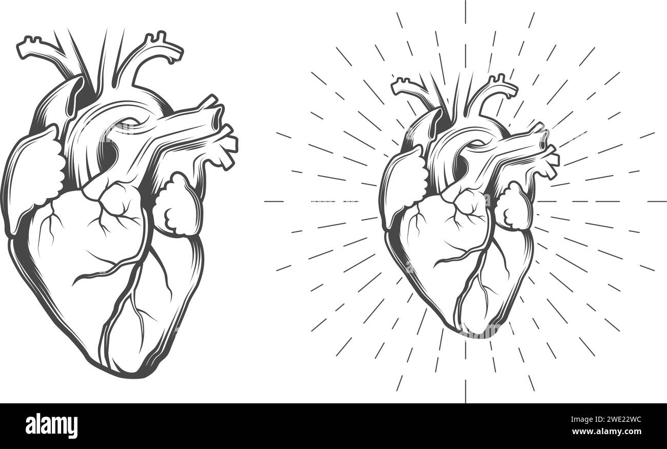 Cuore umano su un colpo di sole, travi di fondo. Illustrazione in stile vintage Illustrazione Vettoriale