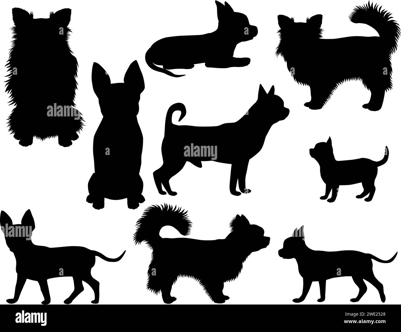 Collezione di silhouette di razza di cane chihuahua Illustrazione Vettoriale