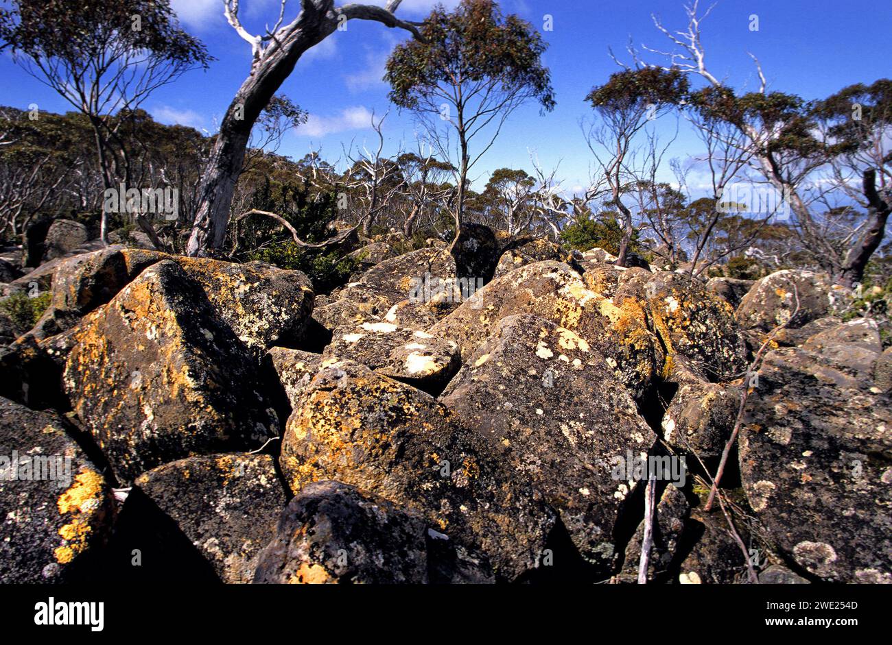 Formazione di pietra paesaggistica, Mount Wellington, Hobart, Tasmania, Australia Foto Stock