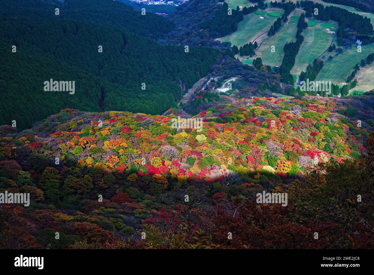 Hakone in autunno Foto Stock