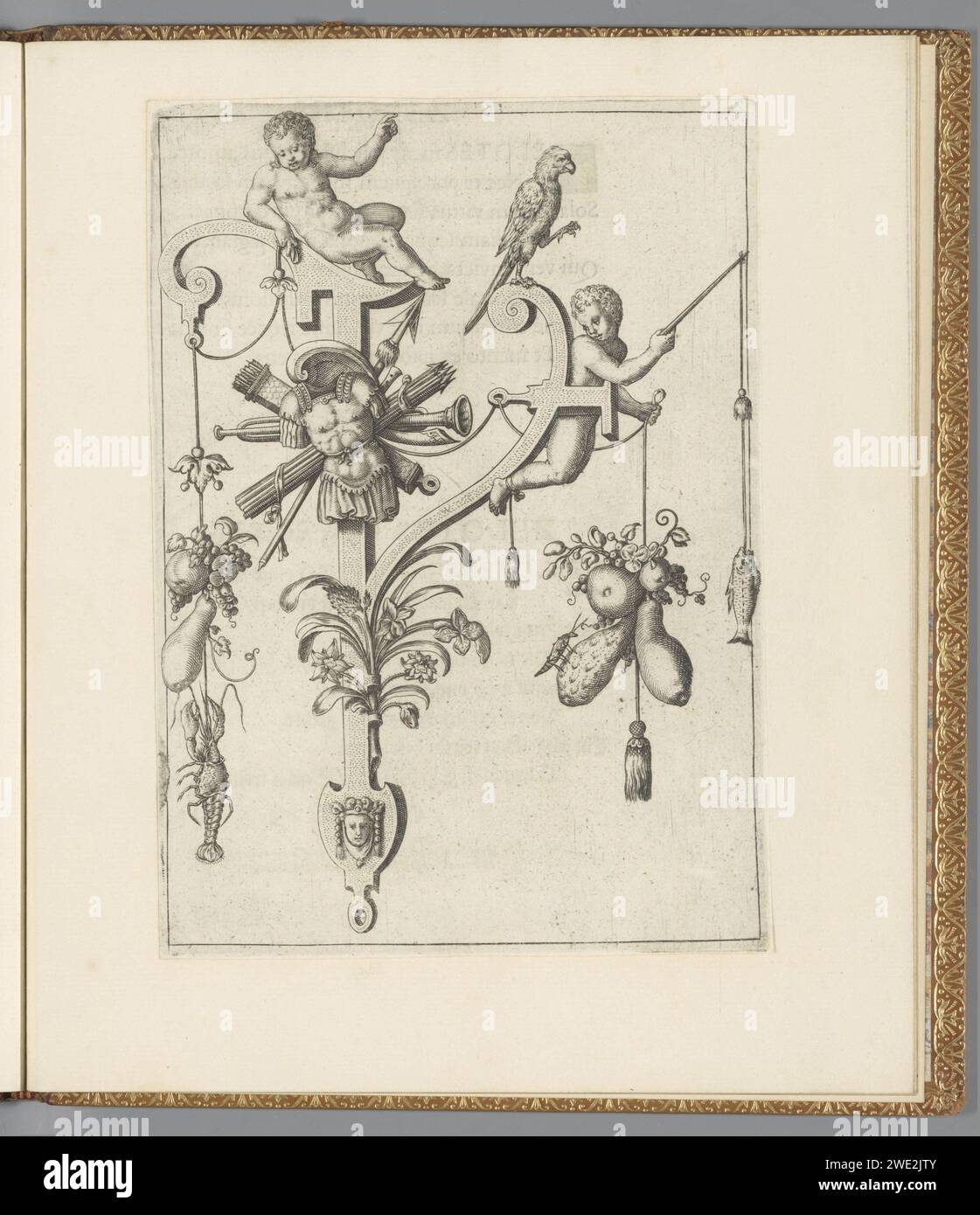 Lettera Y, 1595 stampa ornamentale in album con le lettere dell'alfabeto e le figure bibliche. Incisione su carta Francoforte / stampa letterpress frutta e verdura  ornamento. lettere, alfabeto, script. cupidi: 'amores', 'amoretti', 'putti'. angolatura. ornamento  grottesco Foto Stock