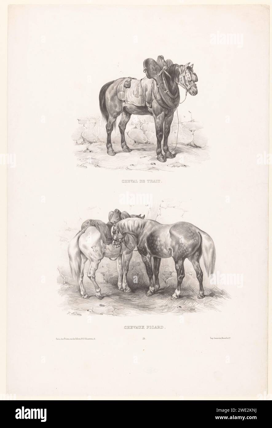 Due spettacoli con un cavallo da tiro e cavalli picardici, Victor Adam, 1837 - 1843 stampa cavallo di carta di Parigi Foto Stock