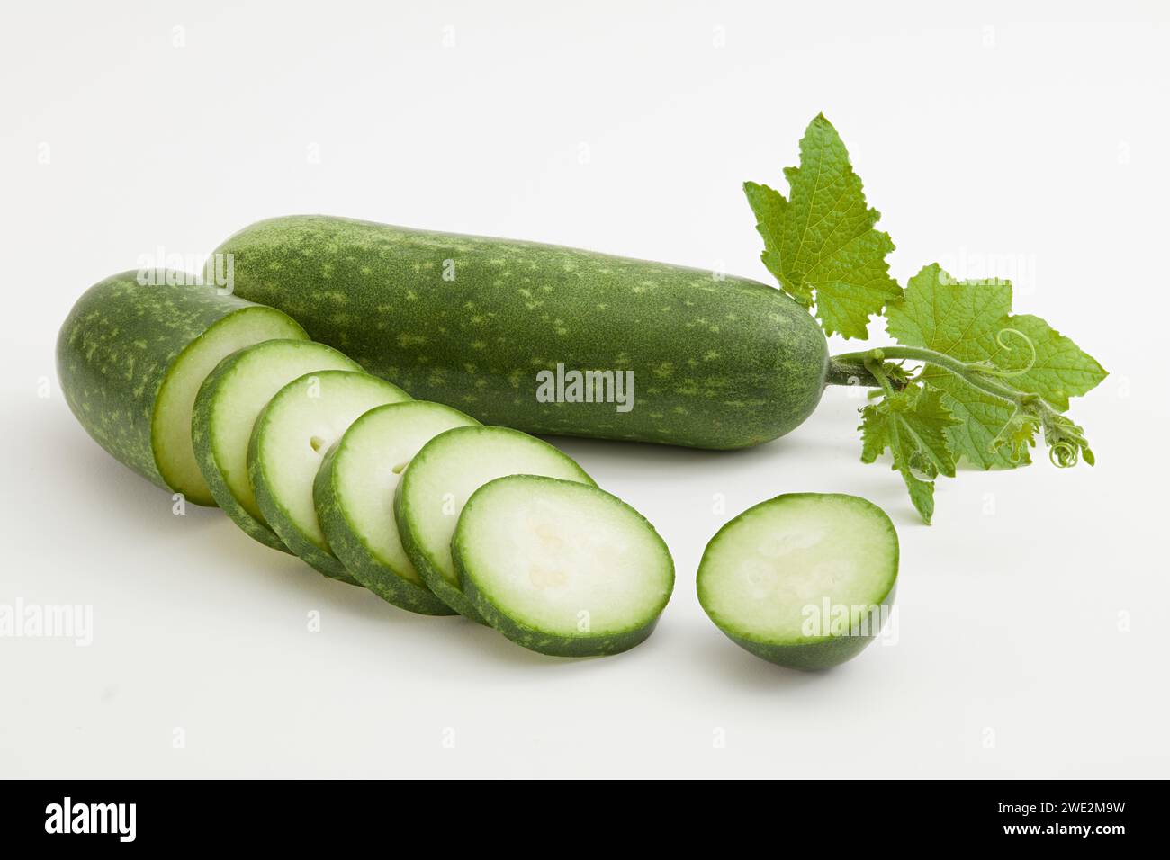 Melone invernale noto come zucca di cera o zucca di cenere tagliata a fette e foglie decorate su sfondo bianco. Il melone invernale contiene un'elevata quantità di vegetabl Foto Stock